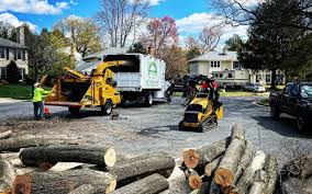 Reliable Benbrook, TX Tree Services Solutions